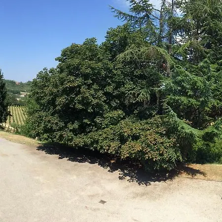 Ferienhaus Tenuta Il Palazzo *
