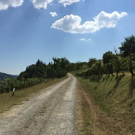 Ferienhaus Tenuta Il Palazzo Acqui Terme