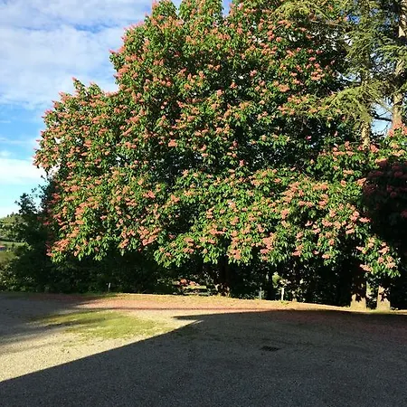 Tenuta Il Palazzo Acqui Terme